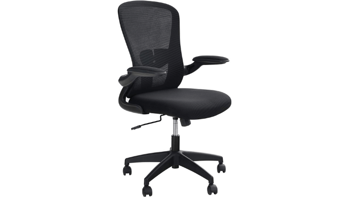 Ergonomic Chairs