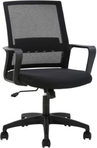 FDW Home Office Chair